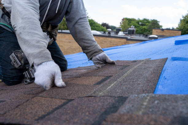 Best Commercial Roofing Services  in Churchill, PA